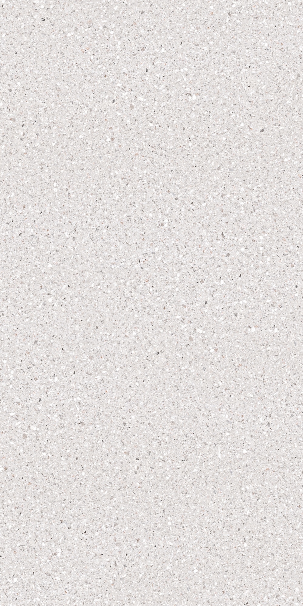 Λευκές Πλάκες Πορσελάνης Πέτρα Terrazzo 320x160
